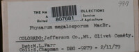 Image Associated With the Occurence